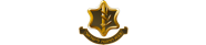 tzahal